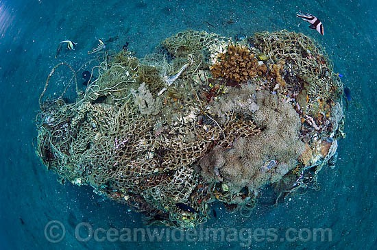 Garbage on Coral Reef photo