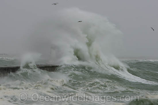 Wave breaking over lighthouse photo
