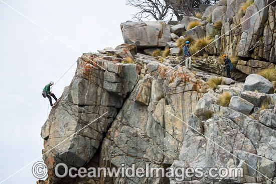 Rock Climbers Beowulf Wall photo
