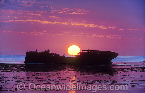 Protector shipwreck Heron Island photo