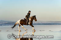 Horse riding on beach. Coffs Harbour, New South Wales, Australia.