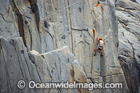 Rock climber, climbing White Water Wall, located in Freycinet National Park, Tasmania, Australia.