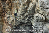 Rock climber, climbing Beowulf Wall, located in Freycinet National Park, Tasmania, Australia.