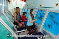 Children with parent, exploring a tropical coral reef on-board the Heron Island Resort semi-submersible. Heron Island, Great Barrier Reef, Queensland, Australia.