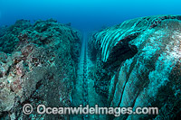 Underwater tropical seascape showing a large mooring chain that has carved a trench into a coral reef at Christmas Island, Indian Ocean, Australia.