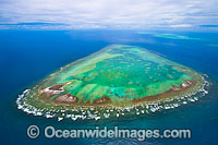 Aerial view of One Tree Island and reef, with Wistari Reef and Heron Island Reef visible in background. One Tree Island is a small coral cay near the Tropic of Capricorn in the southern Great Barrier Reef Australia, part of the Capricorn group of islands.