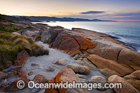 The lichen covered Granite Coast. Bicheno, Tasmania, Australia.
