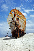 Freighter shipwreck, 'Cherry Venture', was blown ashore and wrecked on Teewah Beach during a cyclone in 1973. Queensland, Australia.