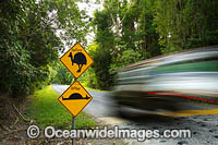 Cassowary Warning road sign, Cape Tribulation, Far North Queensland, Australia.