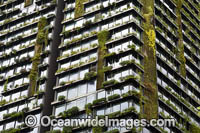 A creative architecturally designed building covered with plants in Sydney city. Sydney, New South wales, Australia.