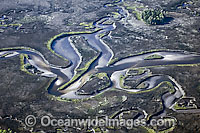 Aerial photograph of Crystal River in northwestern Florida. This section of the state is one of the last remaining wildernesses in the region and is the winter home of the endangered Florida manatee (Trichechus manatus latirostrus).