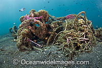 Corals and other marine life slowly recycle and transform man-made garbage and debris into small artificial reefs on the sandy underwater slopes of Lembeh Strait, Indonesia.
