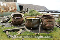 Macquarie Island Base, Historic boiling pots for seal oil. Macquarie Island, Australian Sub-Antarctic