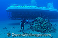 Diver (MR) filming an Atlantis submarine off the coast of Maui, Hawaii, Pacific Ocean, USA