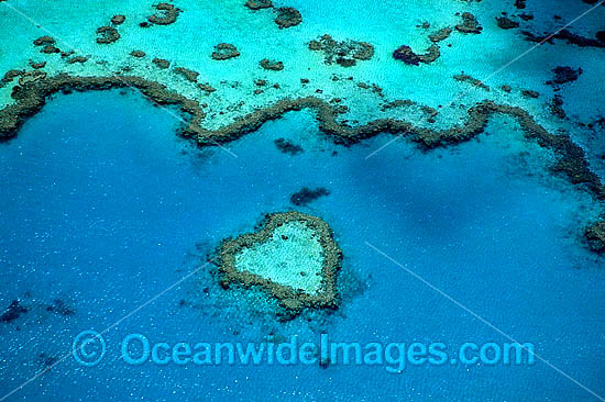 Aerial Heart Reef photo