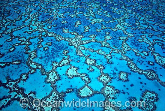 Aerial Wistari Reef photo
