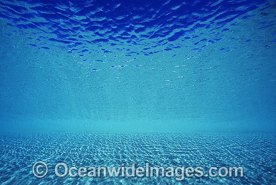 Underwater seascape ocean surface photo