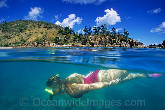 Snorkel diver coral reef Hayman Island photo