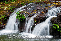 Elabana Falls Lamington National Park Photo - Gary Bell