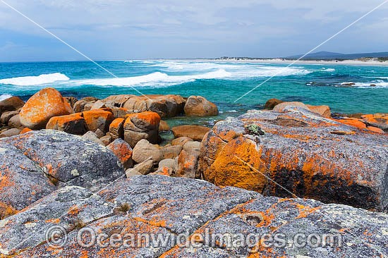 Flinders Island Tasmania photo