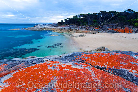 Trousers Point Cove Flinders Island photo