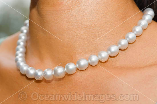 Oyster Pearl necklace photo
