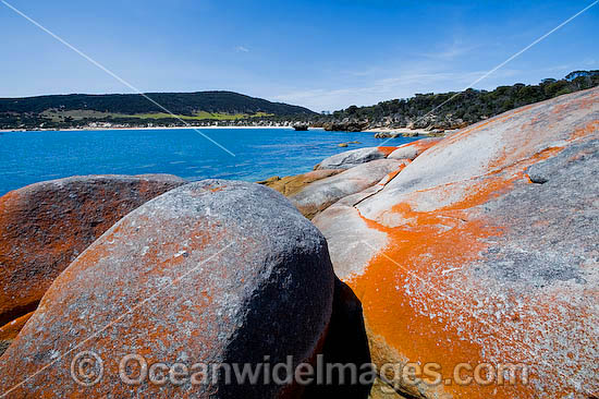 Flinders Island Tasmania photo