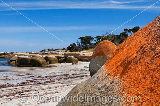 Sawyers Beach Flinders Island Tasmania photo