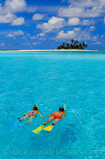 Snorkelers Cocos Island photo