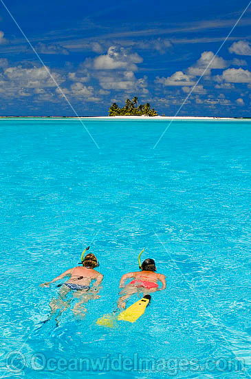 Snorkellers Cocos Island photo