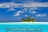 Tropical island coconut palms Photo - Gary Bell