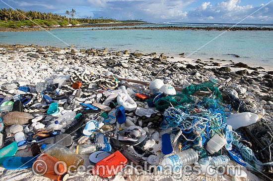 Marine Pollution photo
