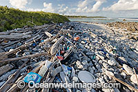 Plastic bottles pollution Photo - Gary Bell