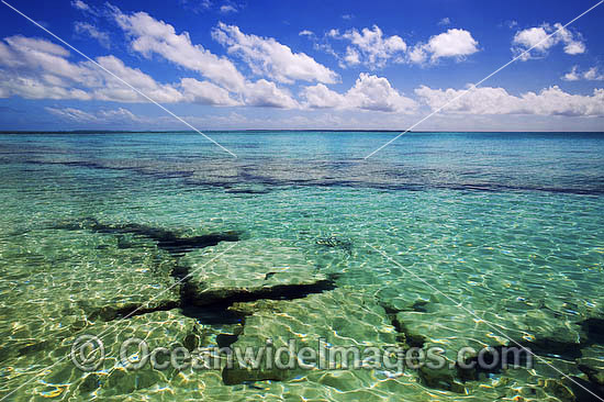 Coral reef Cocos Keeling Islands photo