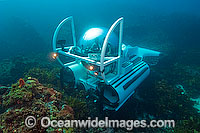 Submarine underwater reef Photo - Andy Murch