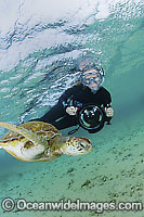 Photographer with Green Turtle Photo - Justin Gilligan