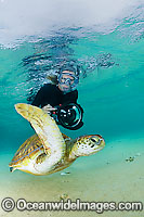Underwater Photographer with Turtle Photo - Justin Gilligan