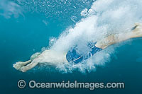 Man diving into ocean Photo - Gary Bell