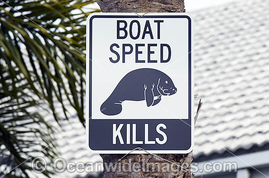 Florida Manatee Sign photo