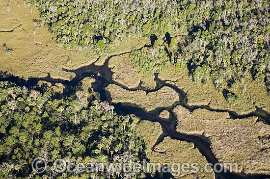 Aerial of Crystal River photo
