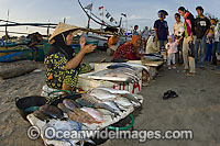 Fish Markets Indonesia Photo - Michael Patrick O'Neill