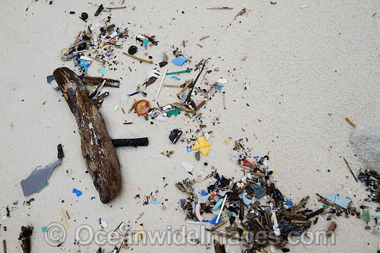 Pollution washed ashore photo