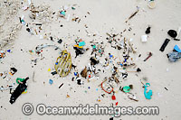 Plastic garbage on beach Photo - Inger Vandyke