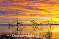 Lake Menindee sunrise Photo - Gary Bell