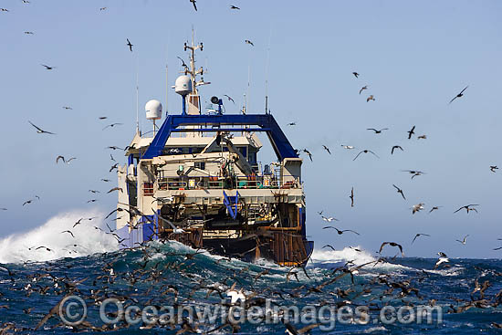 demersal Trawl Fishing photo