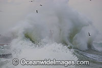 Wave breaking over lighthouse Photo - Chris and Monique Fallows