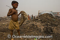 People scavenging at Indian dumpsite Photo - Chris and Monique Fallows