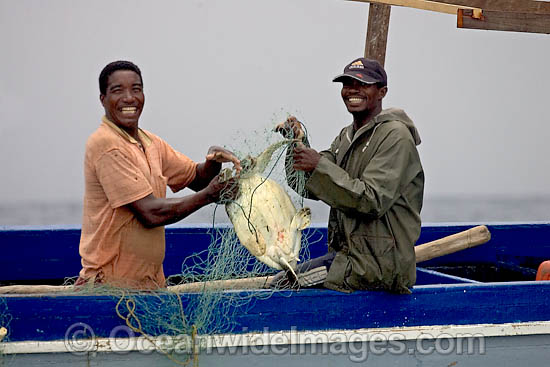 Fisherman with Turtle in net photo
