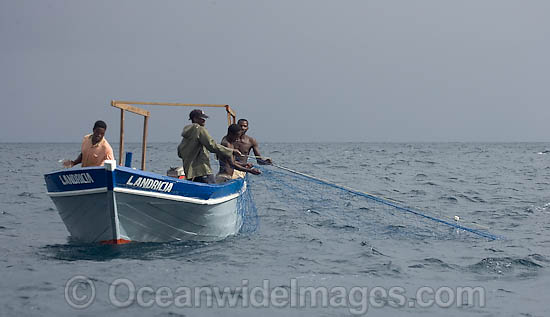 Fisherman haul in gill net photo