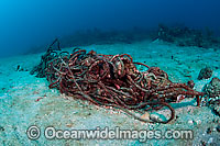 Rope litters coral reef Photo - Michael Patrick O'Neill